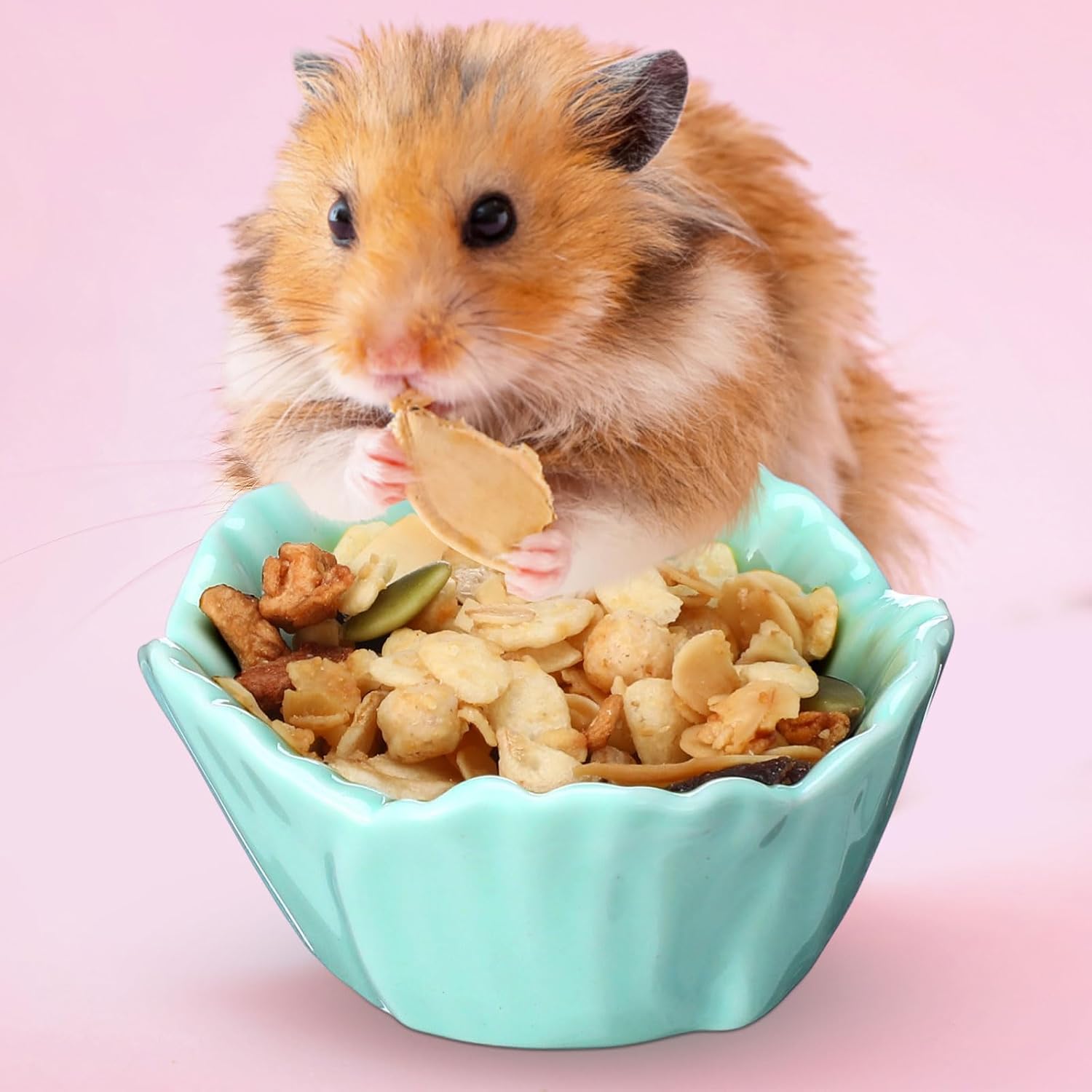 4 Pack Small Ceramic Pet Hamster Bowl, 2.68 x 2.68 x 1.38 Inch Flower Shaped Small Water and Food Bowl Feeder Dish for Guinea Pig Parrots Gerbil Rat Mice Rabbit Chinchilla, Easy to Clean Anti Flipping