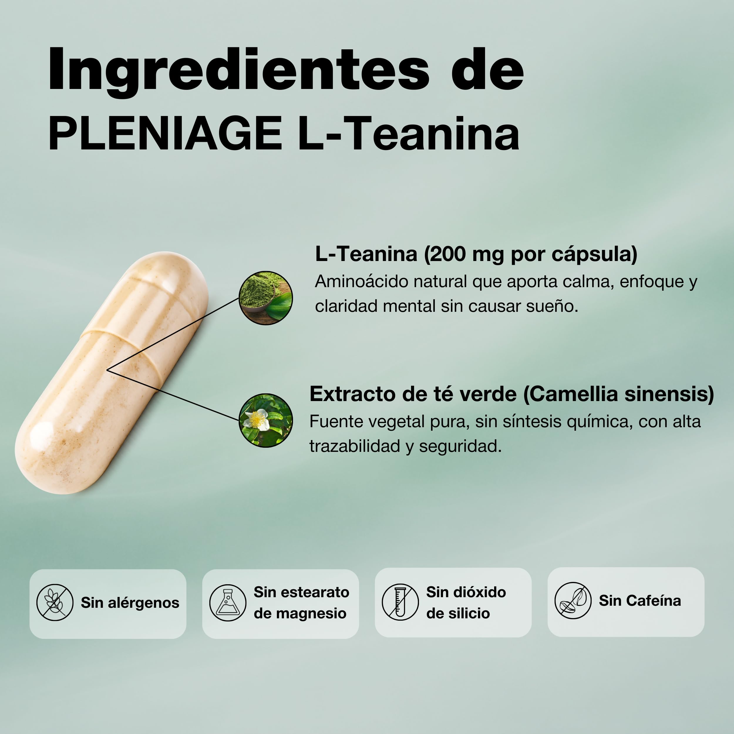 L-Teanina 200mg | Sin Cafeína ni EGCG | 60 Cápsulas | Extracto de té verde (Camellia sinensis). Foco sin somnolencia. Vegano, sin gluten. Clean Label. Fabricado en España.