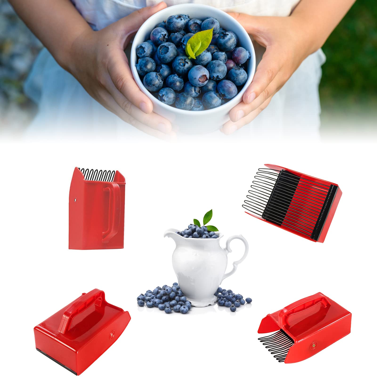 Outil Récolte Baies Peigne à Baies LaGreen En Bois De Hêtre - Cueille-fruits Pour Myrtilles, Framboises Et Groseilles Peigne En Bois