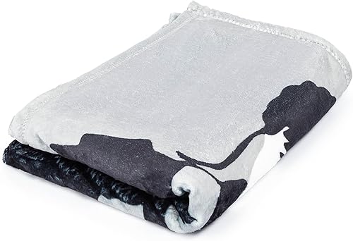 Miniatura 4 de Jay Franco Manta de felpa para niños, suave y cómoda, de 50 x 70 pulgadas, para sofá o cama, acogedora decoración del hogar para sala de estar y
