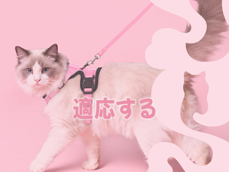 Amazon | Rabbitgoo 猫用 ハーネス リードセット 犬猫兼用 超小型犬