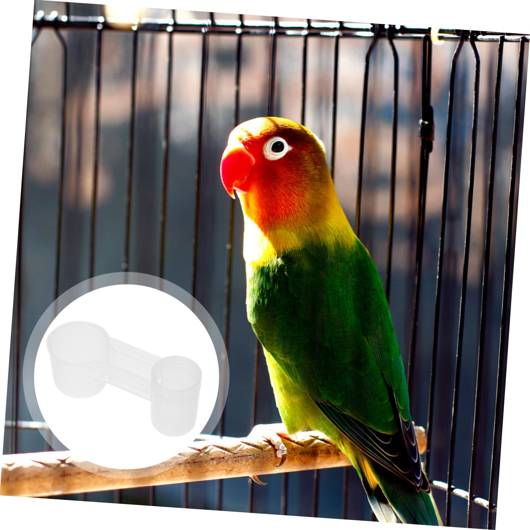 Abbeveratoio Resistente e Facile da Pulire Doppia Uscita in Plastica Bianca Confezione da 10 Pezzi per Piccioni e Pappagalli per Uso Domestico e Zoo