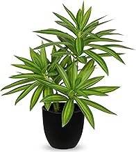 Dekorly Plastic Artificial Dracaena Plant, Decorative Fake Potted Plants, Artificial Plant Tropical Indoor Plant for Home, Bathroom, Kitchen, Decoration, Green | Height : 30CM | One Plant with Pot