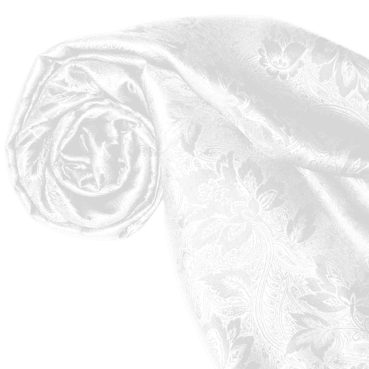 Lorenzo Cana Herren Schal Luxustuch elegant gewebt in Damast Webung florales Paisley Muster aus Viskose mit Seide modischer Männerschal weiss 55 cm x 190 cm, 8906011
