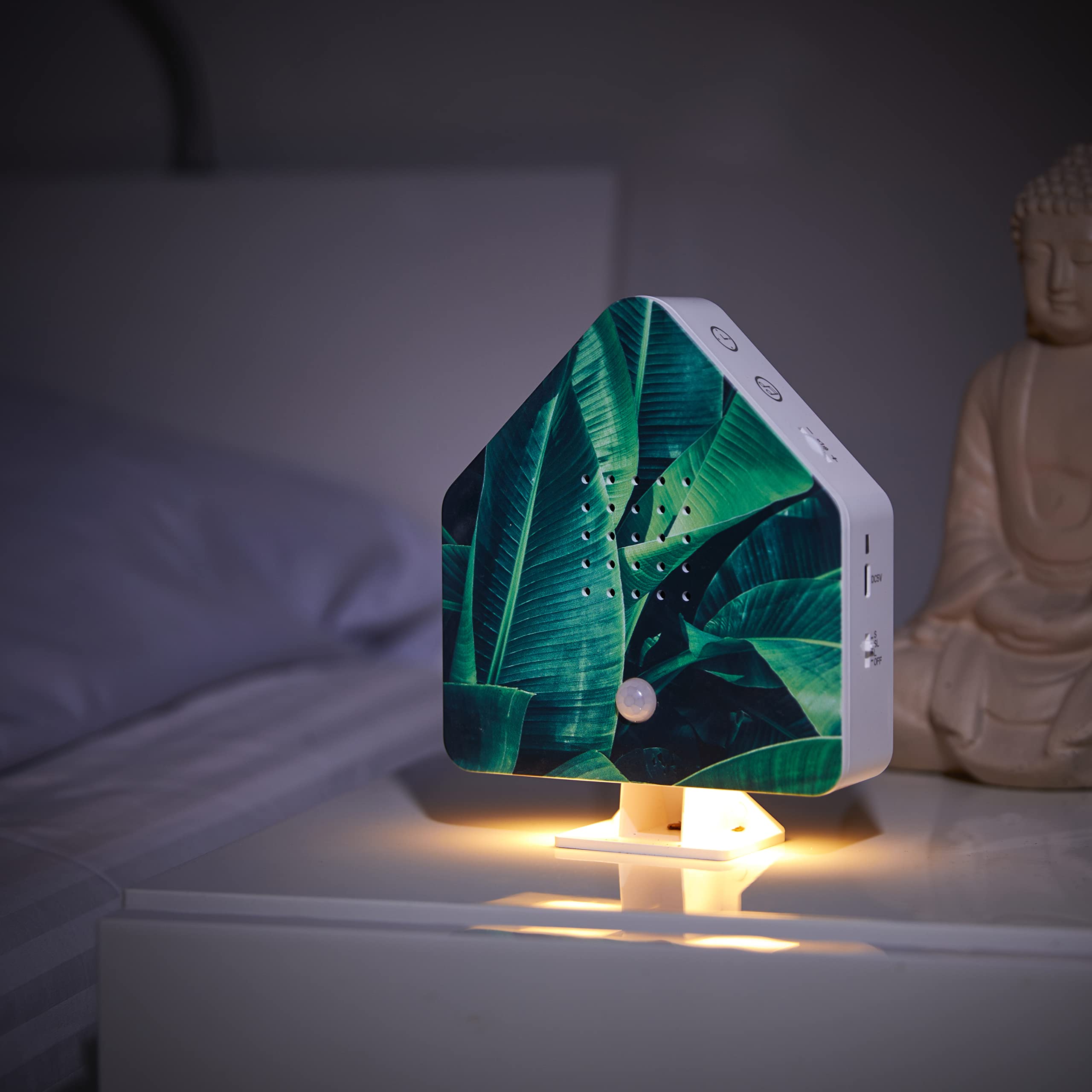 Boîte à gazouillis d'oiseaux rechargeable à détecteur de mouvement