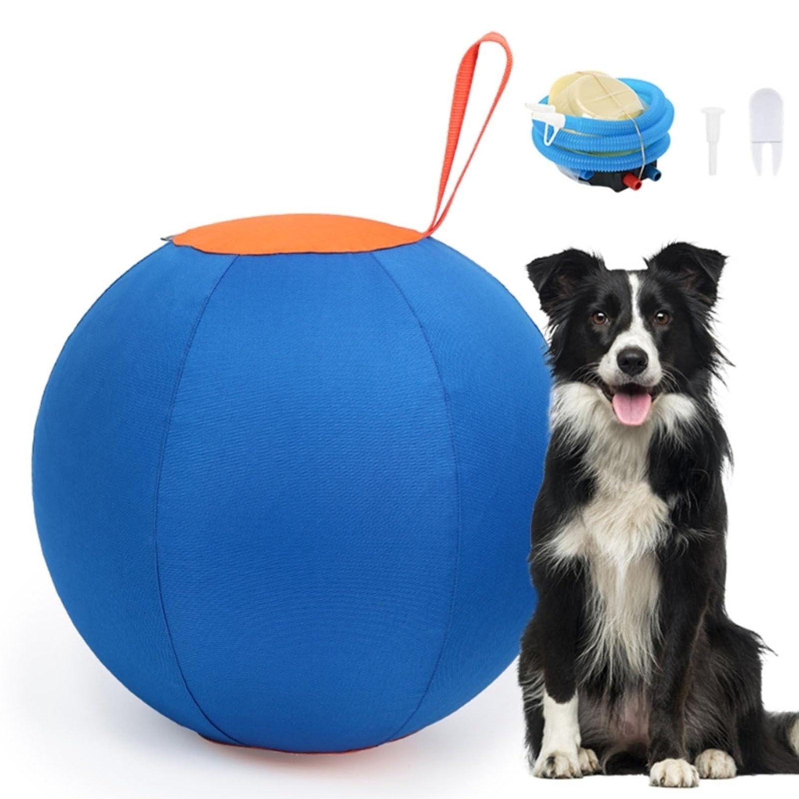 Giocattolo interattivo sicuro per cani per famiglie Divertente attività mordace Addestramento all ' obbedienza Giocattolo gonfiabile per cani con cerniere per l ' addestramento Gioco ventilazione