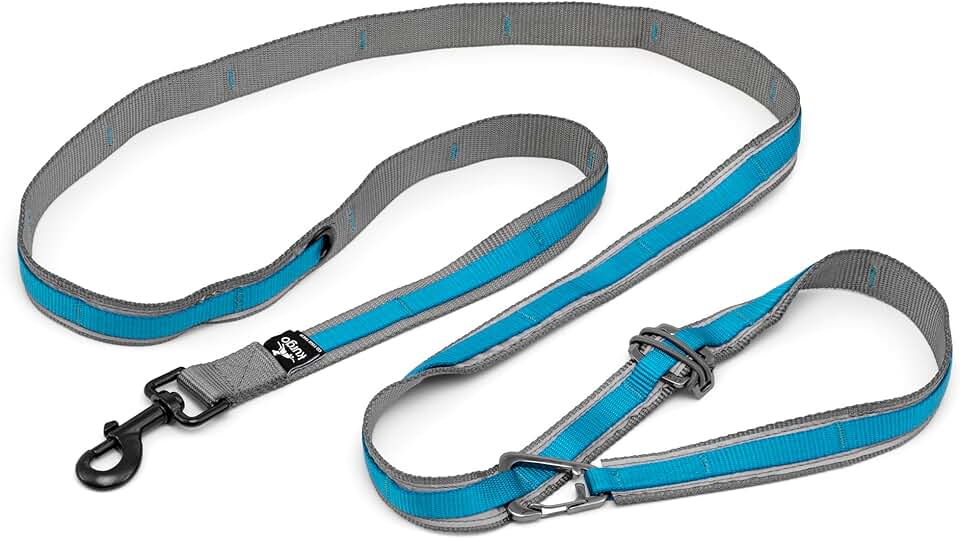 Kurgo 6 in 1 Quantum Leash, Hands Free Leash for Dogs, Running Belt Lead, Crossbody & Waist Belt Style, Reflective, Carabiner Clip, for Training, Hiking, or Jogging, 4 Colors