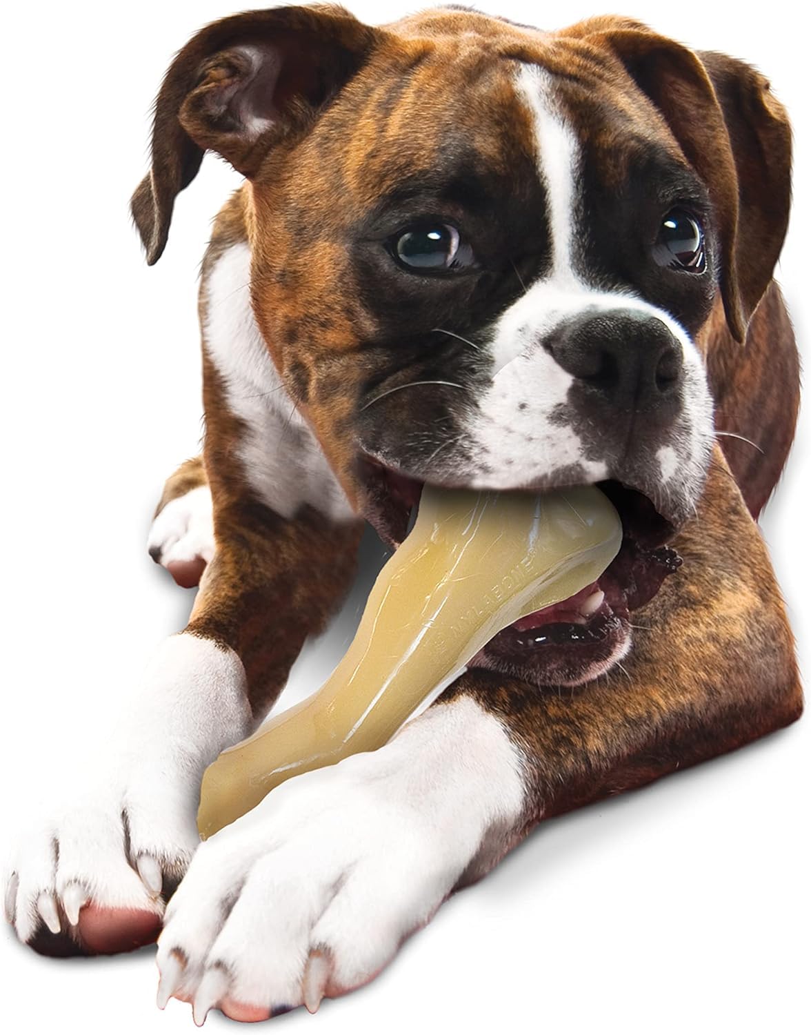 Nylabone (3 sztuki) Dura Chew XL duża kość o smaku kurczaka | Psy powyżej 50 kg