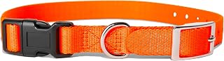 e Collar Replacement Strap - Compatible with Petsafe, Dogtra, Sportdog, Invisible Fence - Durable Easy On/Off Design (1", Orange)