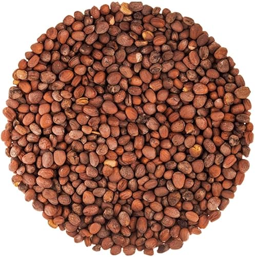 Miniatura 7 de Semillas de rábano orgánicas para germinar, 15 libras, sin OMG, semillas comestibles, puras, veganas, kosher, a granel. Sabor picante. Rico en