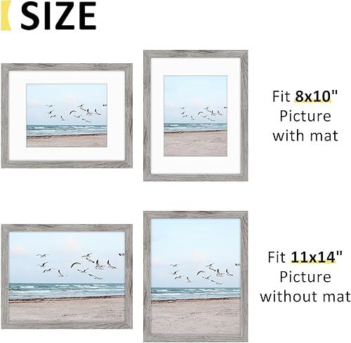 Vista 132 de Frametory, Los marcos de 16 x 20 pulgadas muestran imágenes de 11 x 14 pulgadas con paspartú o fotos de 16 x 20 pulgadas sin paspartú, vidrio Plata