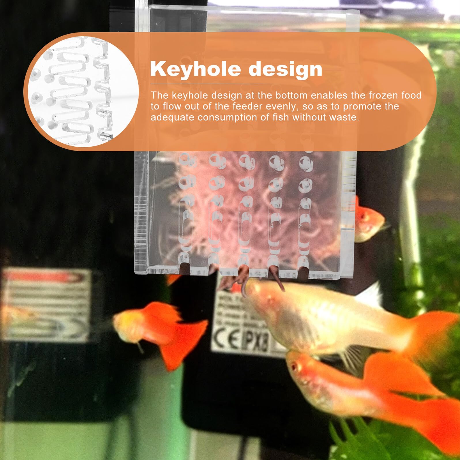 NOLITOY Comedero Acrílico para Peces Soporte Magnético, Dispensador de Comida para Acuarios, Fácil Instalación y Mantiene el Acuario Limpio