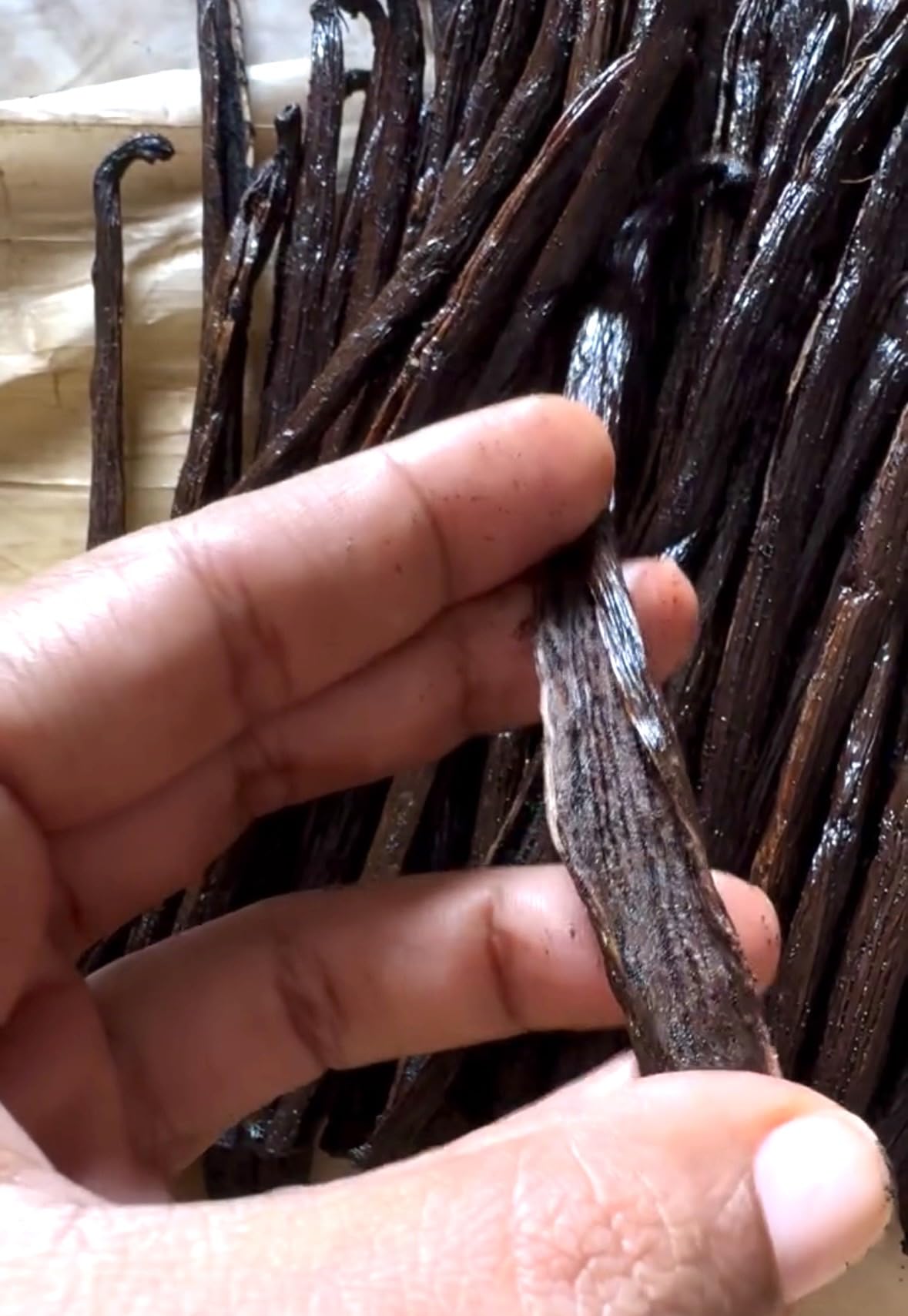 100 Baccelli di Vaniglia Nera Bourbon del Madagascar 16-18 cm – Gourmet Grand Cru – Baccelli Premium Morbidi e Carnosi – La Vanillerie
