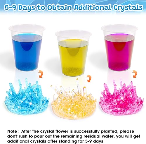 Miniatura 5 de GobiDex Kit de cultivo de cristal, kits de ciencia para niños de 8 a 12 años, crece rápido en (24 horas), experimentos científicos, juguetes de