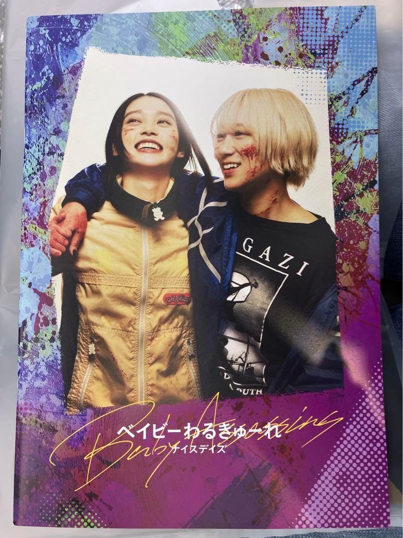 ロッカクアヤコ 1000部限定パンフレット 千葉県立美術館 冊子 ロッカク