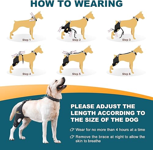 Miniatura 6 de Rodillera para perro para pierna trasera desgarrada del ligamento cruzado anterior, soporte para luxación de rótula u osteoartritis, lesiones