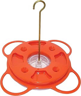 Birds Choice 1009 Oriole-Fest Oriole Feeder, 12-Ounce, Orange - coolthings.us
