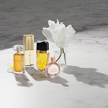 Amazon.com: Estée Lauder Cinnabar Eau de Parfum Spray with Notes