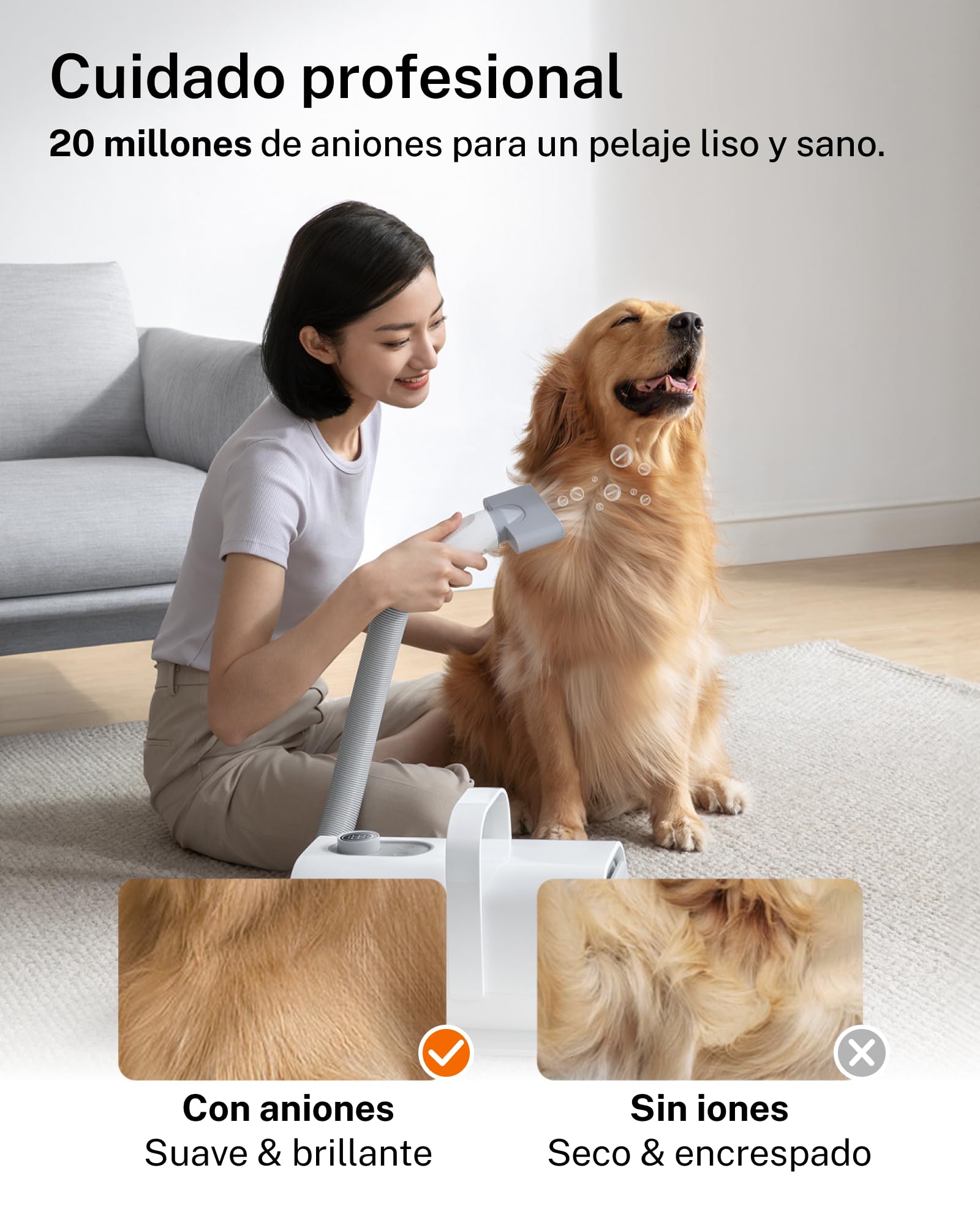 HomeRunPet Ultra-Silencioso Secador de Pelo de Perro para la Peluquería Canina, Secador de Perro de Calidad de Salón, 99 Velocidades y Control de Temperatura Perro Soplador con 3 Boquillas Diferentes