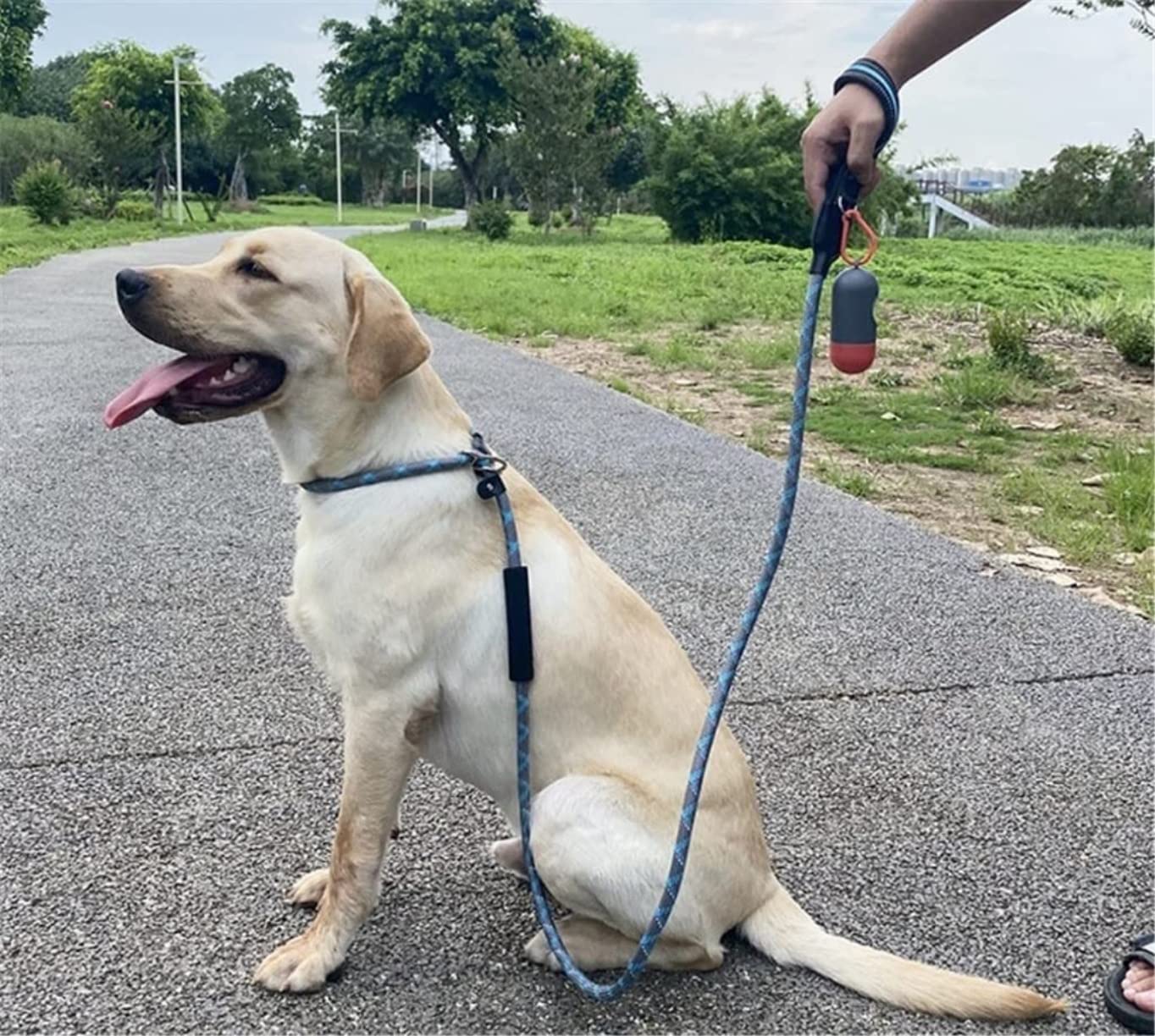 Correa Perro Cadena P Reflectante Collar Deslizante Grande Mascota Caminar Plomo Perro Escalada Cuerda Cómoda Correa Perro Suave(Oranje,13mmX150cm)