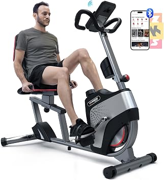 HARISON Exercise Bike 350 lbs Capacity, Easy Assembly Magnetic Recumbent bike for Adult and Seniors, Recumbent Stationary bike for Home, 2 in 1 LCD Monitor and Tablet Holder