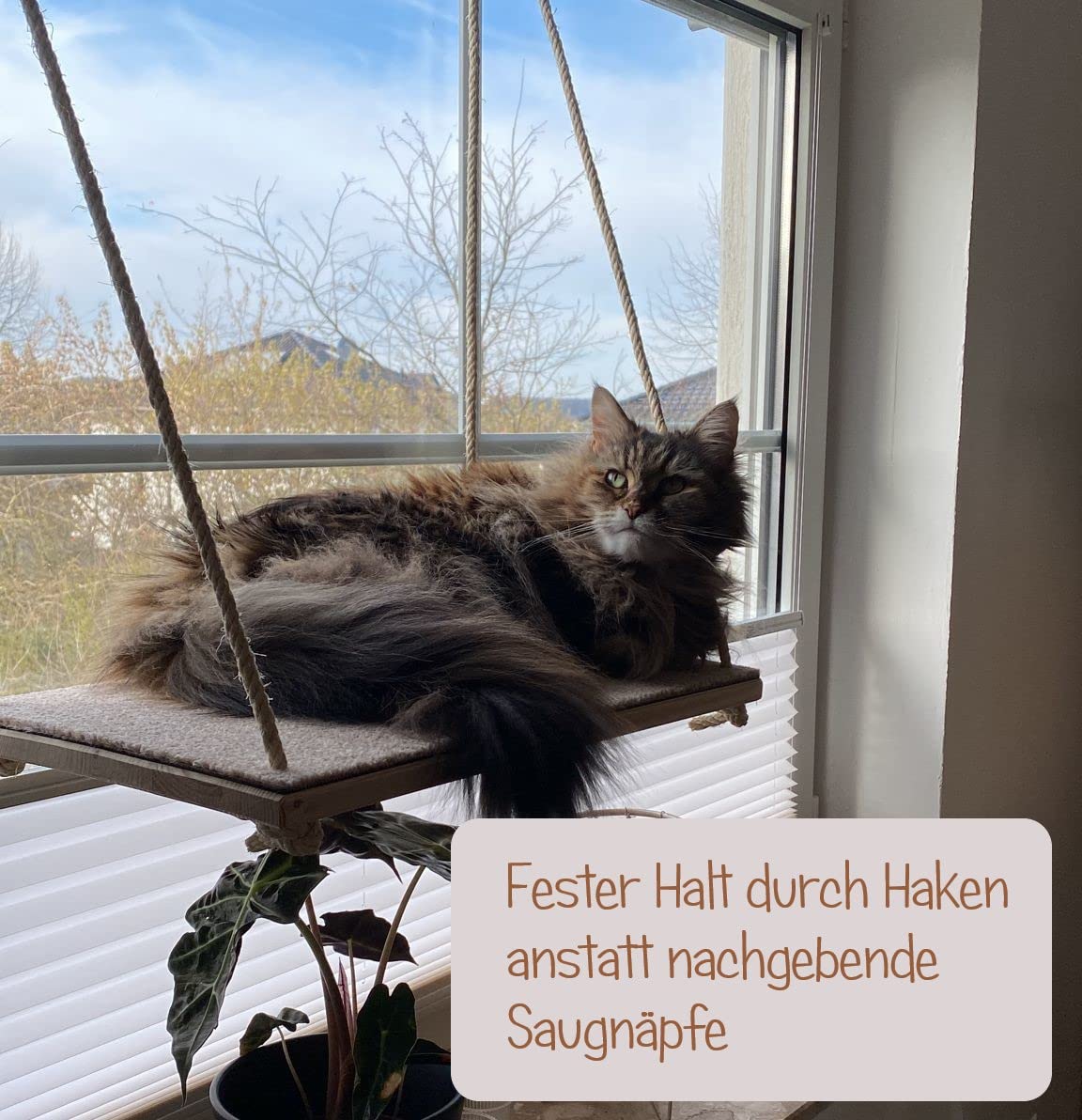 CapriCorner Katzen Fensterliege, kein Herunterfallen Dank Sisalseile, Holz statt Plastik - Neuer Fensterplatz (Grau)