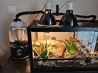 Review Image by Sarah A Sarah A