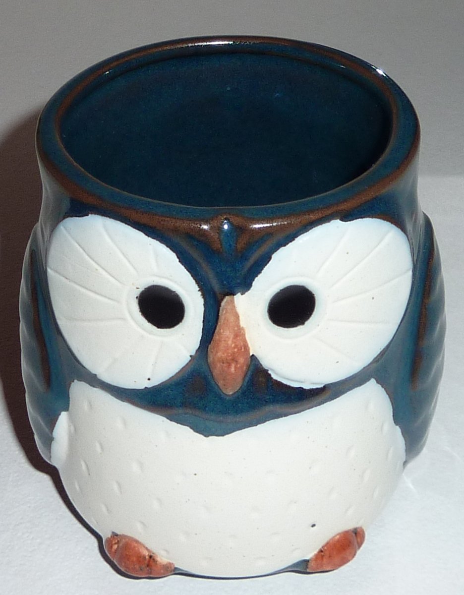 Midnight Blue OWL Smooth Ceramic Mug by Globally Cute