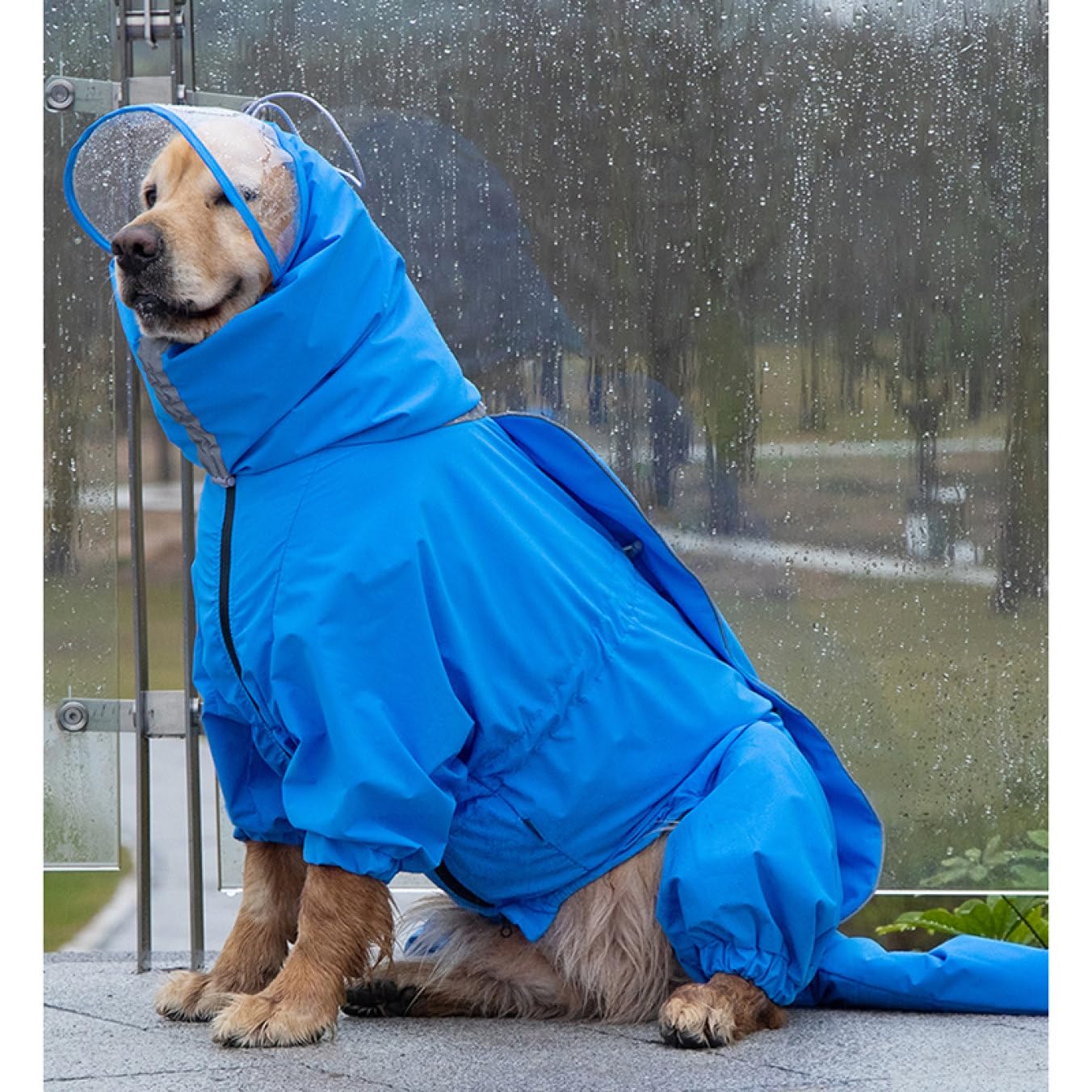 Amazon | [YJSO] レインコート ペット服 帽子付き 雨具 ブルー 大型犬