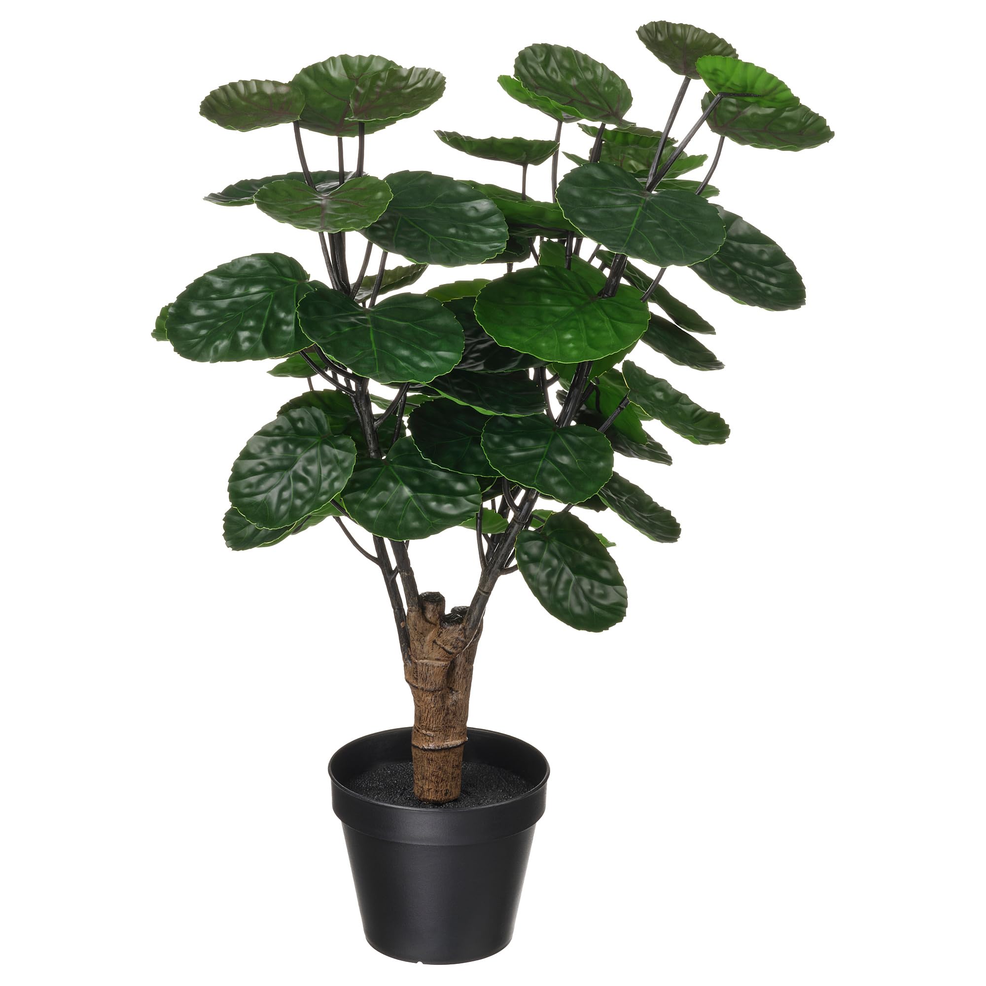 Plante artificielle Aralia 12 cm ProTuning Fejka pour décoration intérieur
