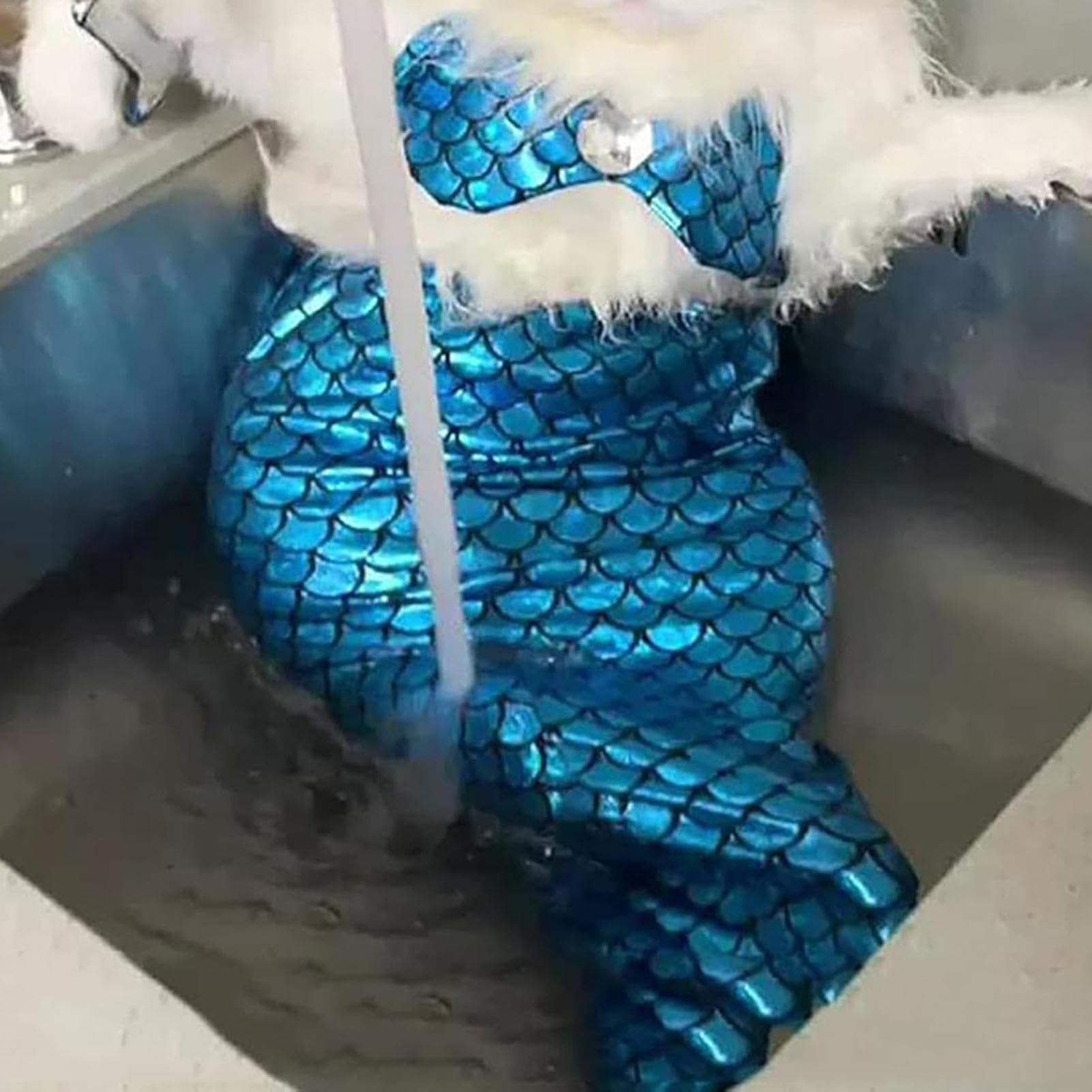 Wyttuubv Zeemeerminnenkostuum voor katten, katten, zeemeermin-outfit, kattenkleding met strik, hoofdband en nekhoudertop, puppykleding, creatief huisdierkostuum voor kleine honden en katten