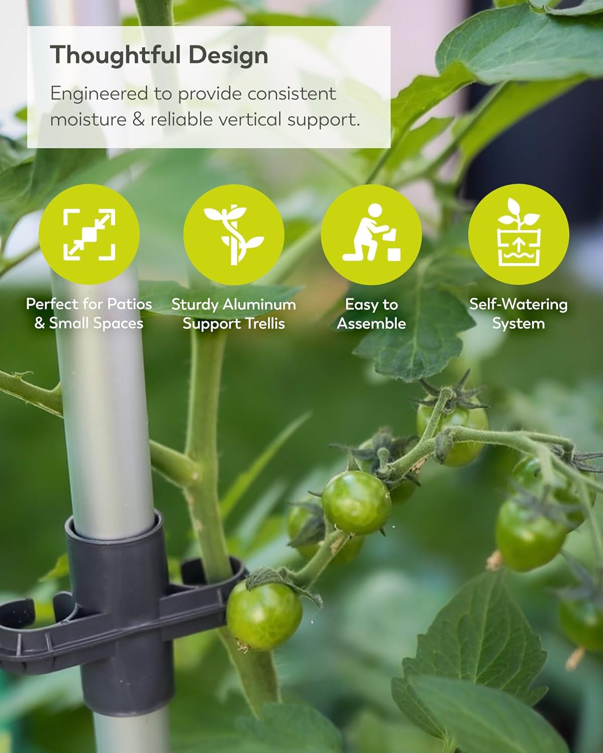 BUZZY Seeds Self-Watering Vertical Tomato Planter with Trellis – 1.2 Gal Reservoir, Large Capacity Planter for Tomatoes & Climbing Plants (Green)