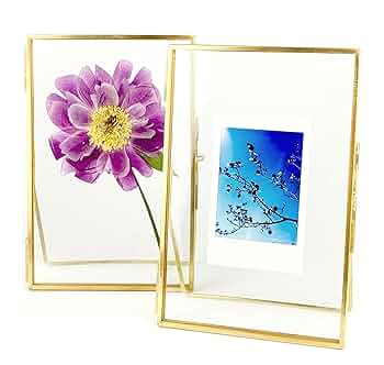 テイエムオペラオーの写真パネル テイエムオペラオー