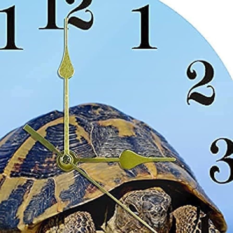 Amazon.co.jp: 亀の壁掛け時計、10インチの無声非カチカチ音をた