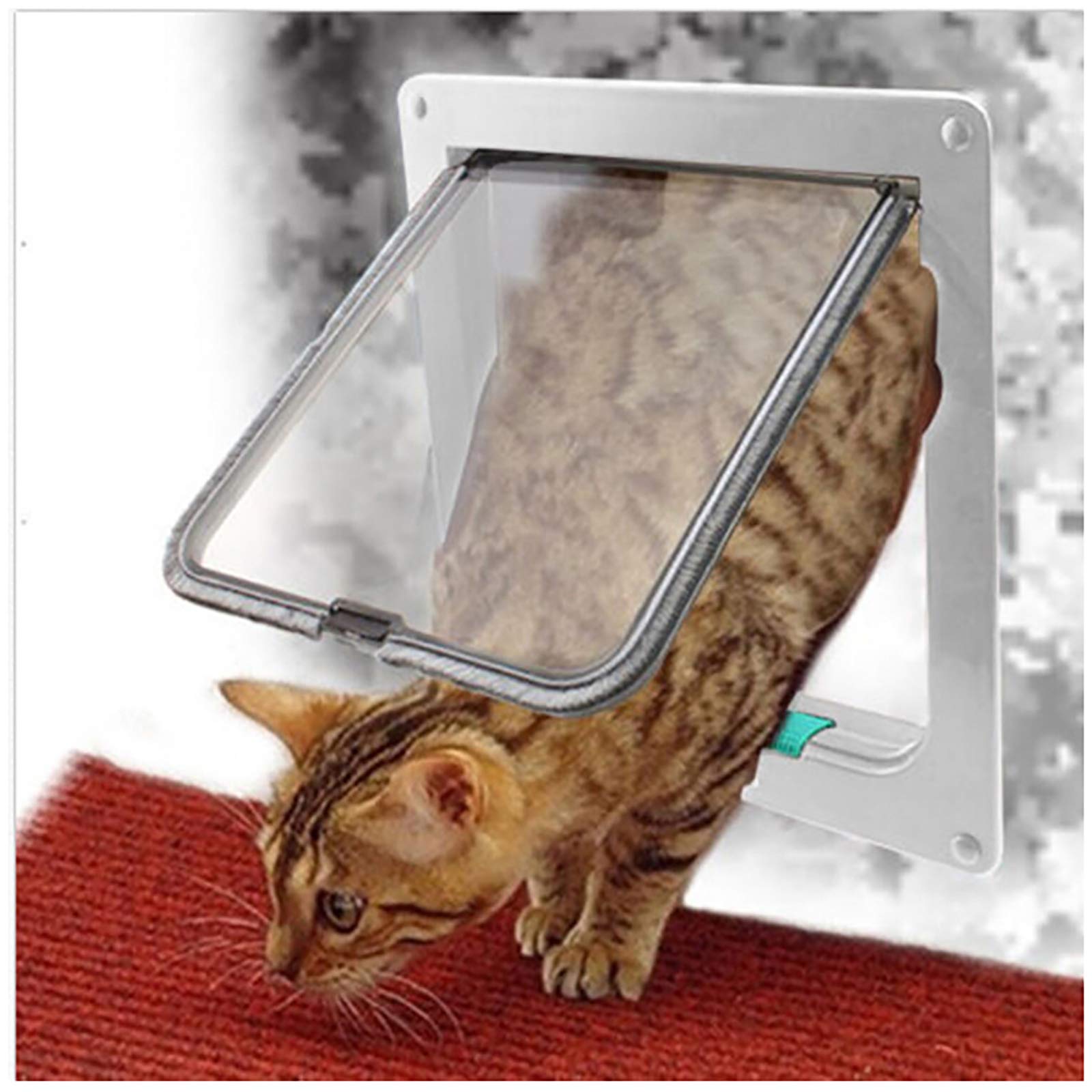 Chatière intelligente XL pour grand chaton avec système de serrure à 4 voies