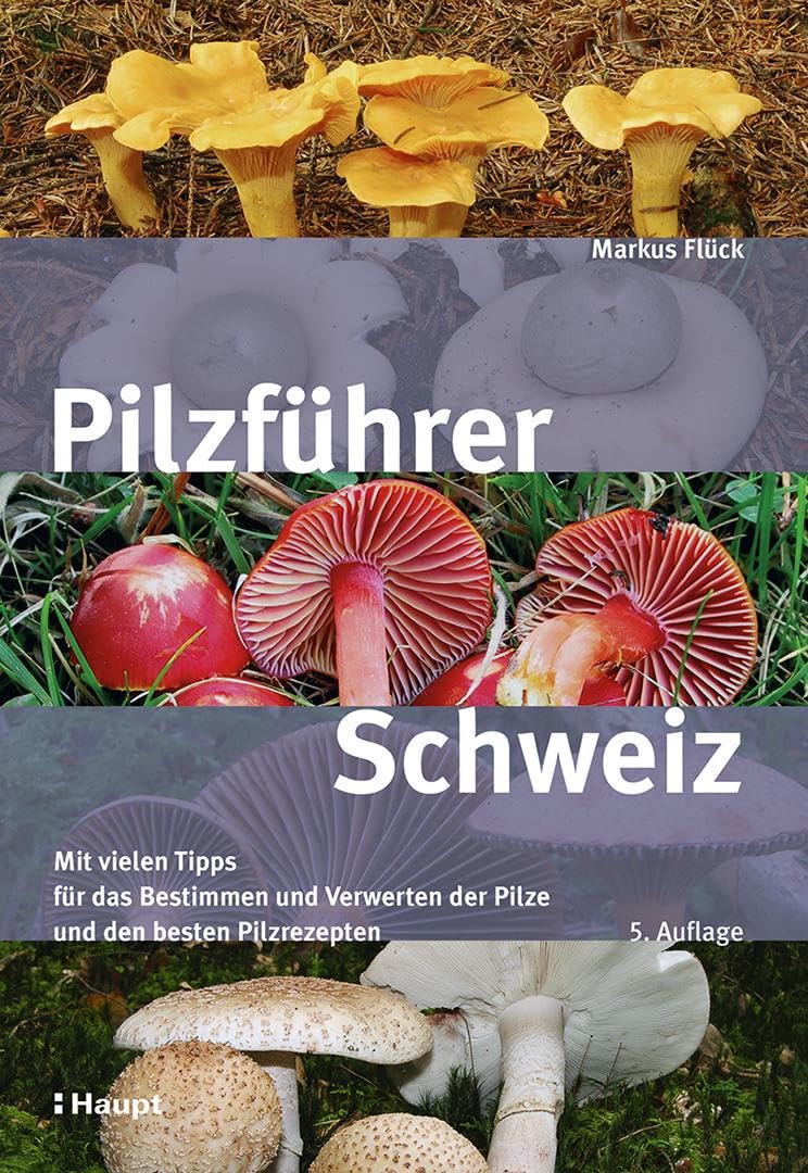 Pilzführer Schweiz: Mit vielen Tipps fürs Bestimmen und Verwerten und den besten Pilzrezepten