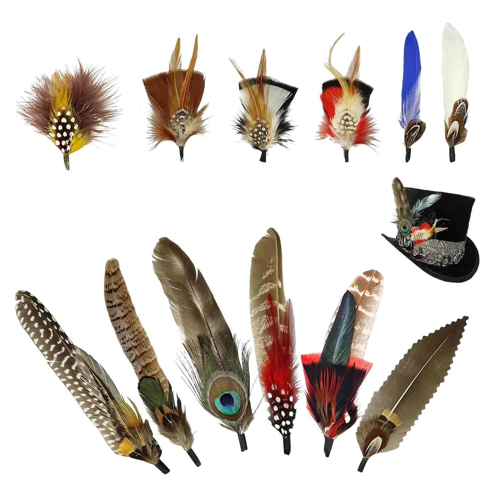 12 PCS Feathers for Hats, Natural Peacock Feathers Coloured Feathers Pin Cowboy Hat Feather and Fascinators Accessories Attachments for Party Decoration DIY Art Craft