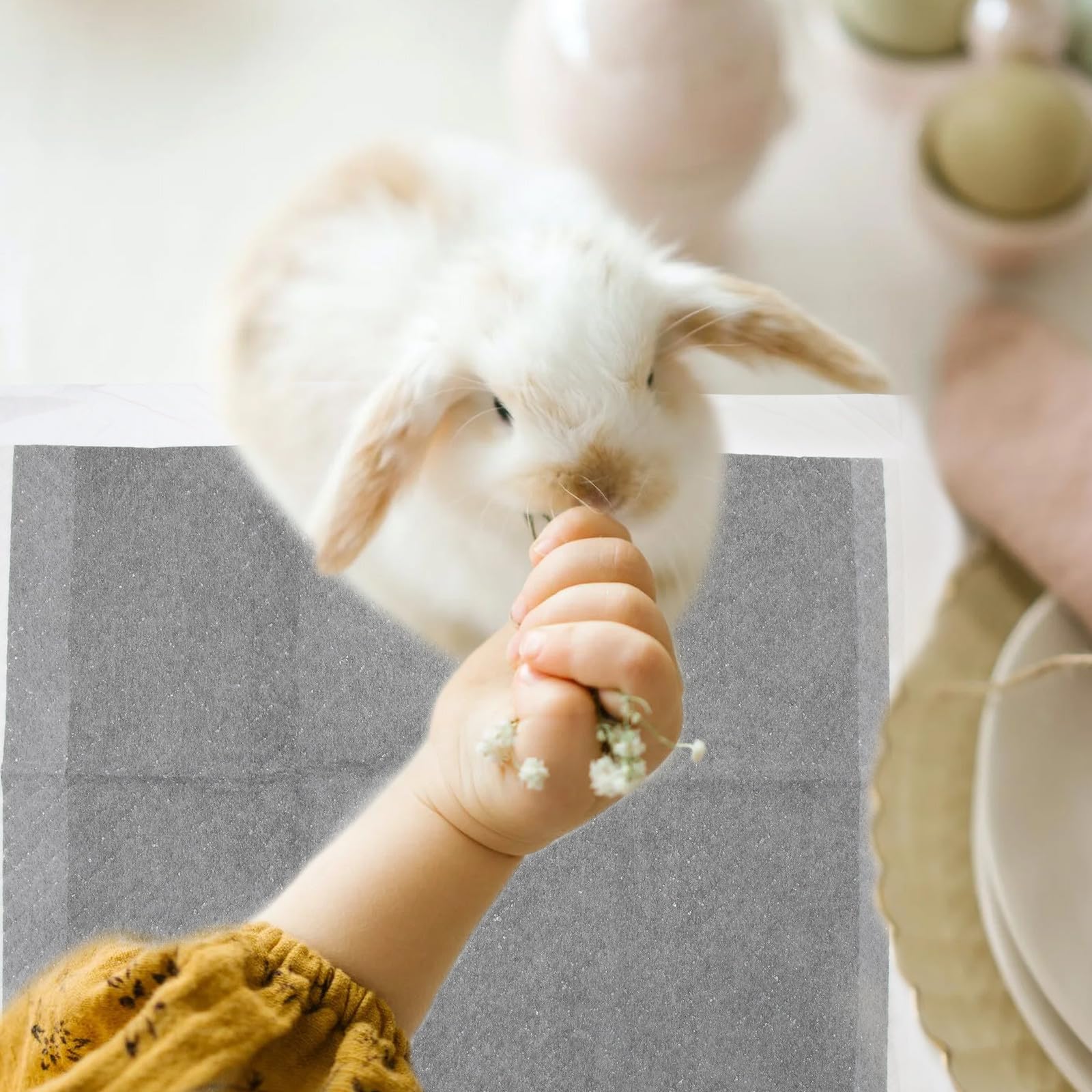 Einweg PIPI Pads für Haustiere und Hamster, 100 Stück