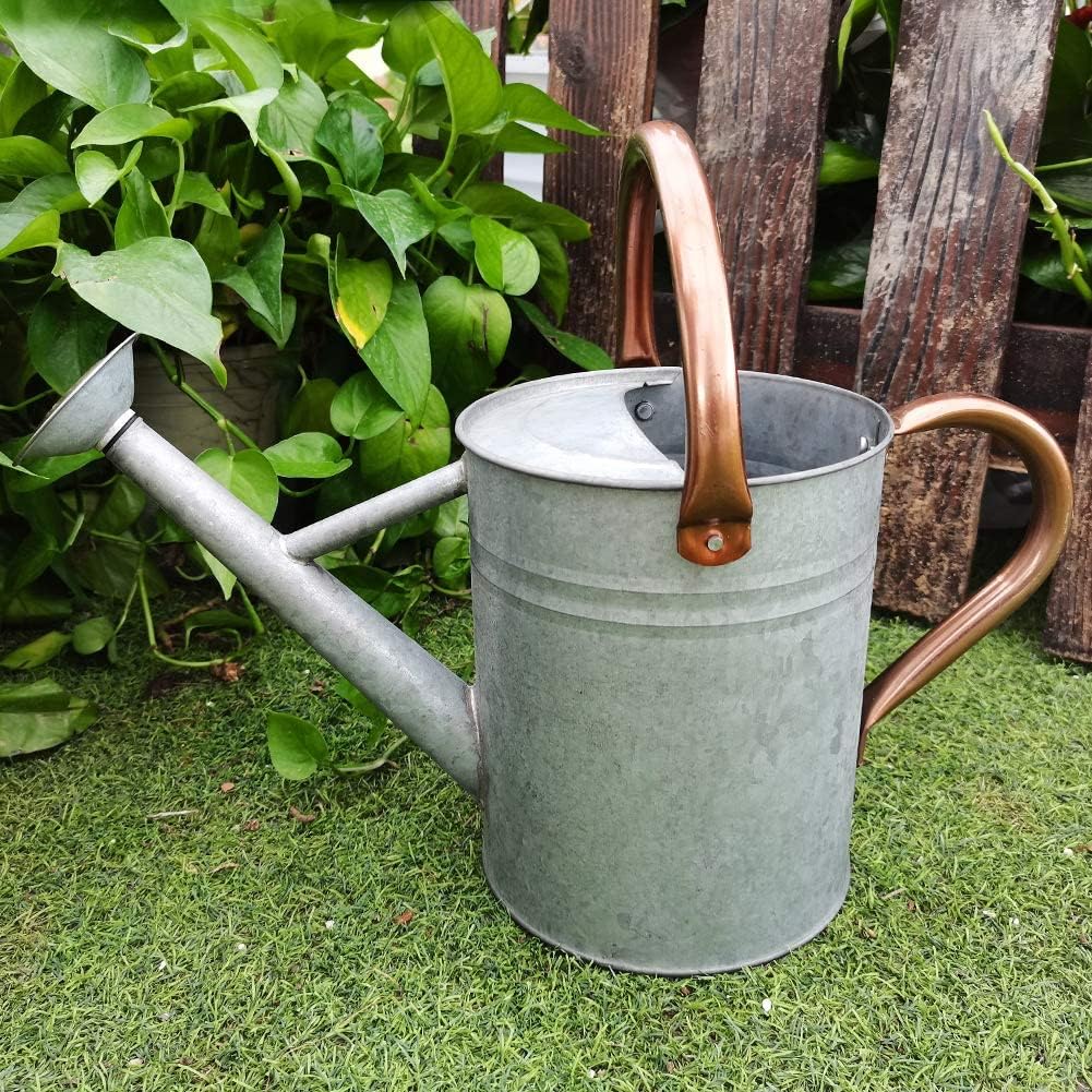 yourjoy Steel Watering Can Sliver Galvanized Steel Watering Can with Copper Accents,Removable Rosette-Diffuser,One-Gallon : Patio, Lawn & Garden