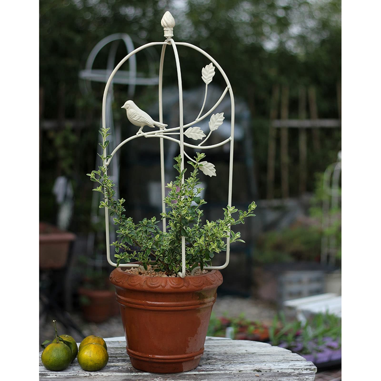 Obélisque De Jardin En Acier Revêtu - Support Pour Plantes Grimpantes (roses, Clématites) - 151 Cm Ou 113 Cm, Portable