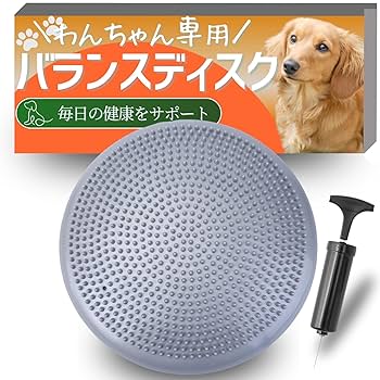 バランスボード　kgokinawa Amazon | kaitou バランスボード 子供 体幹強化 横乗り スケボー
