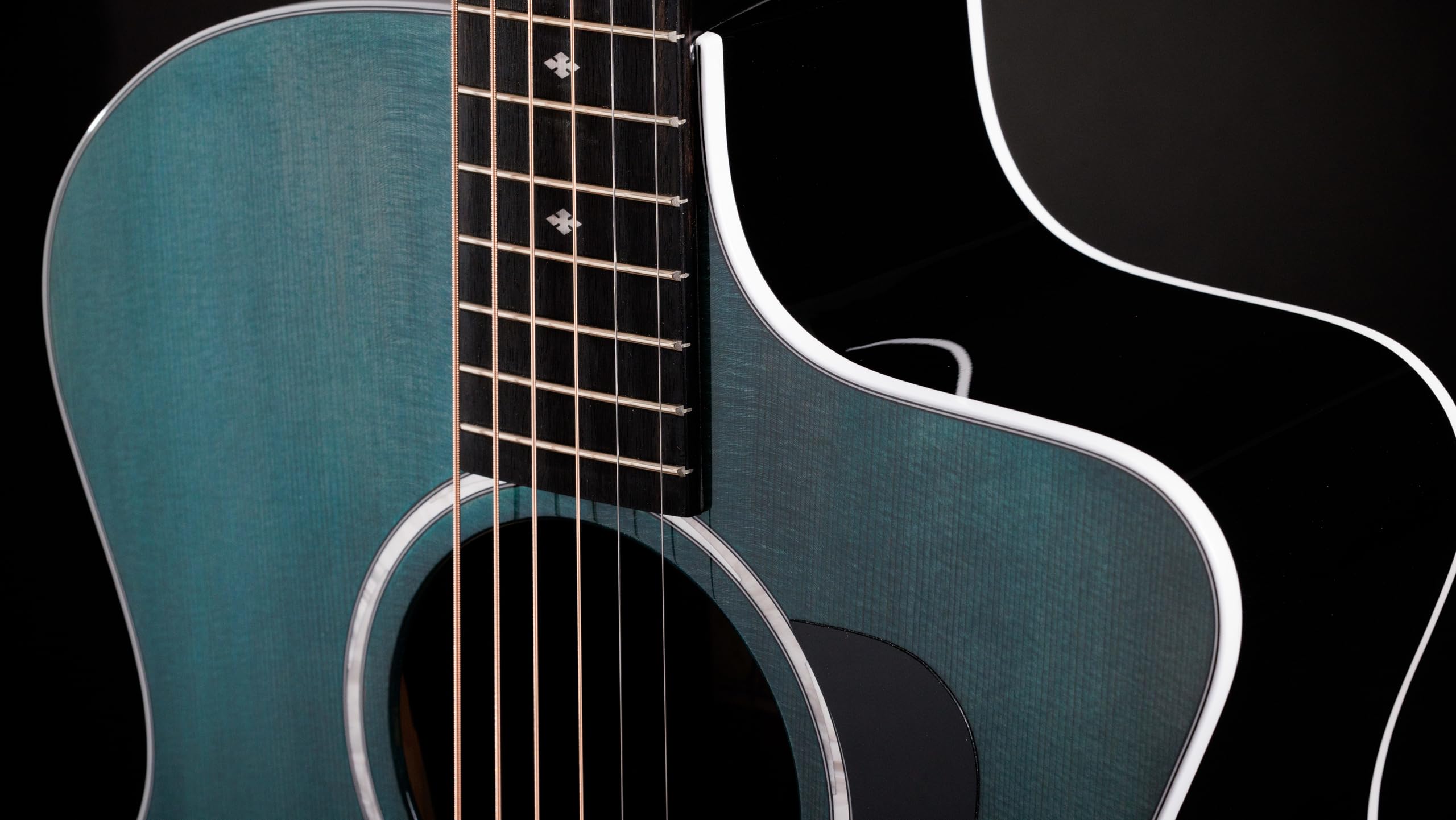 Amazon | Taylor 214ce スペシャルエディション アコースティック
