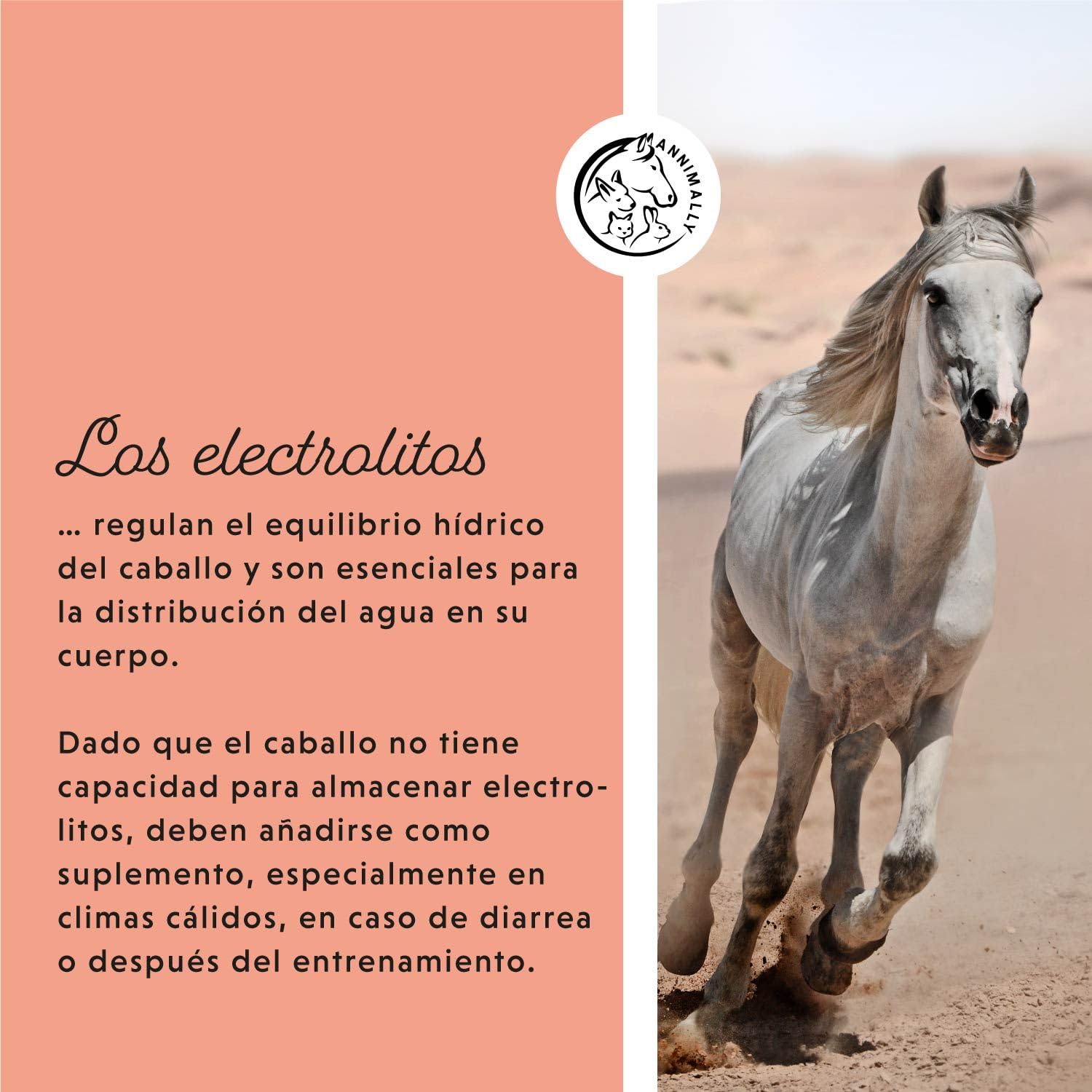 Annimally Electrolitos Líquidos para Caballos 1000ml con Sodio, Potasio, Acerola, Calcio, Magnesio y Vitamina B líquida - Electrolitos Líquidos sin azúcares añadidos.