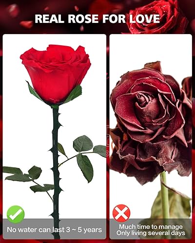 Miniatura 3 de YAMPP Regalos de rosas para mujeres cumpleaños, día de San Valentín, Navidad, aniversario, día de la madre, regalo de boda para mamá, novia, esposa,