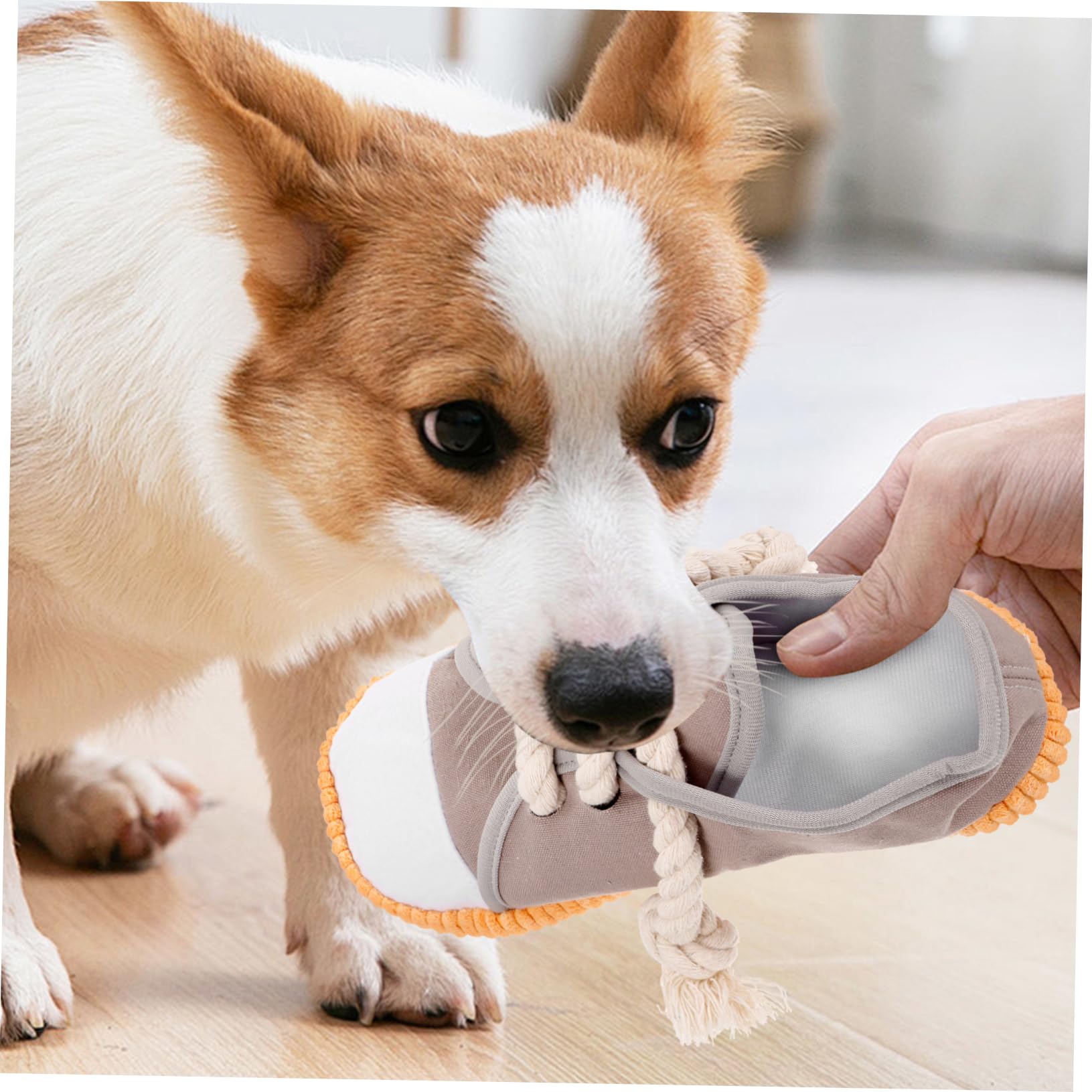 BESPORTBLE 5pièces Jouet à Mâcher pour Chiens Jouet De Teething pour Chiens Stimule Comportement Naturel Et Nettoie Dents