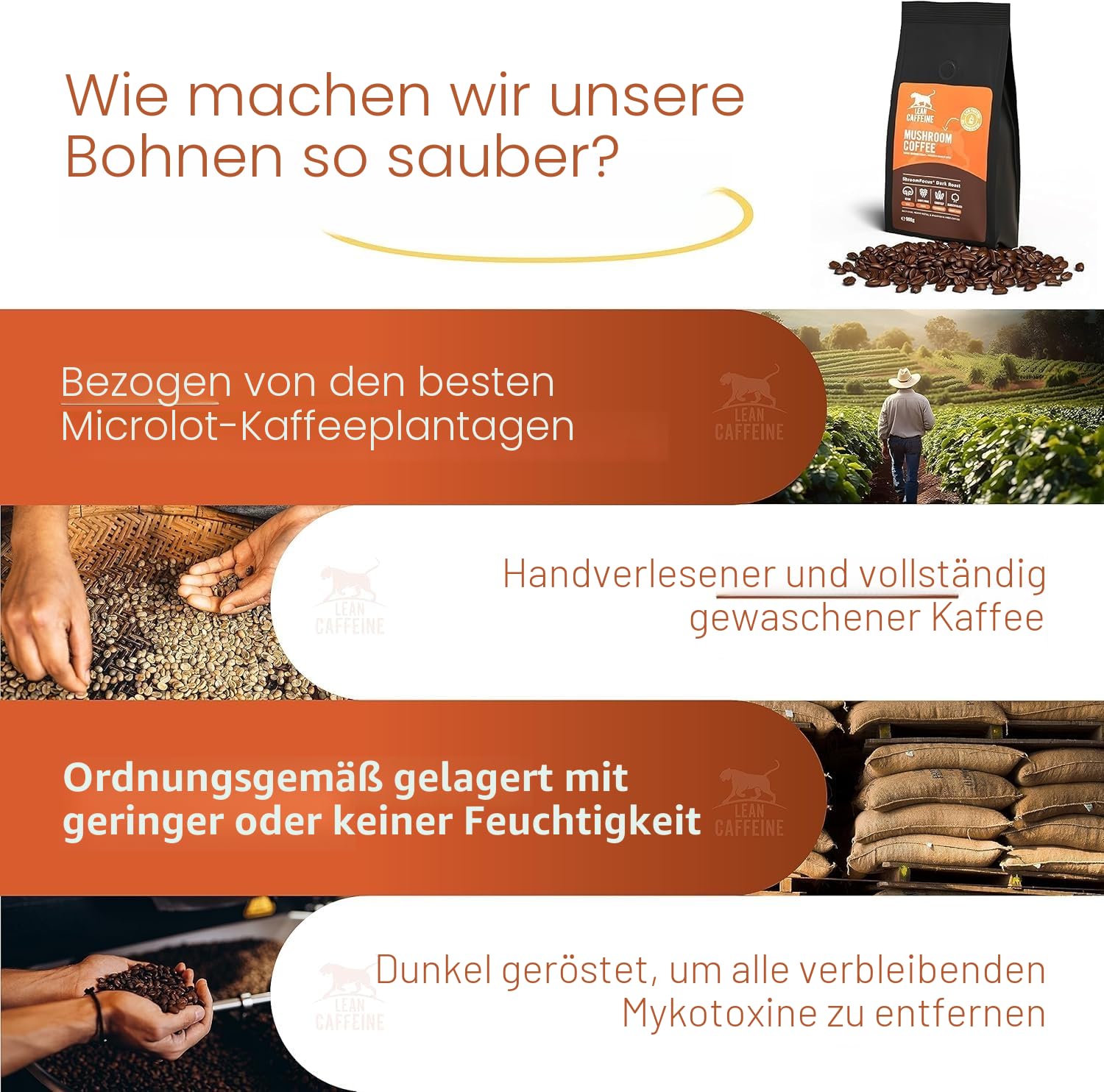 Mushroom Coffee Gemahlen 412g | Löwenmähne/Reishi/Cordyceps/Agaricus Blazei | Pestizide, Schwermetalle und Mykotoxinfreier dunkler gerösteter kugelsicherer Kaffee | 23+ starke Kaffeeportionen