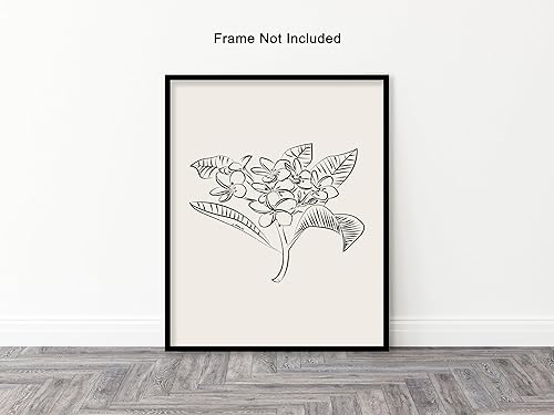 Miniatura 548 de Poster Master Póster de peonías – Estampado de flores retro – Ilustración floral – Ilustración en blanco y negro – Diseño de línea y abstracto –