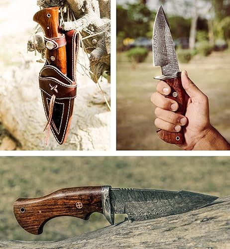 Miniatura 5 de LC - Cuchillo de caza de 10 pulgadas hecho a mano de Damasco y afilador de cuchillas, cuchillo de caza con vaina, cuchillo de supervivencia con