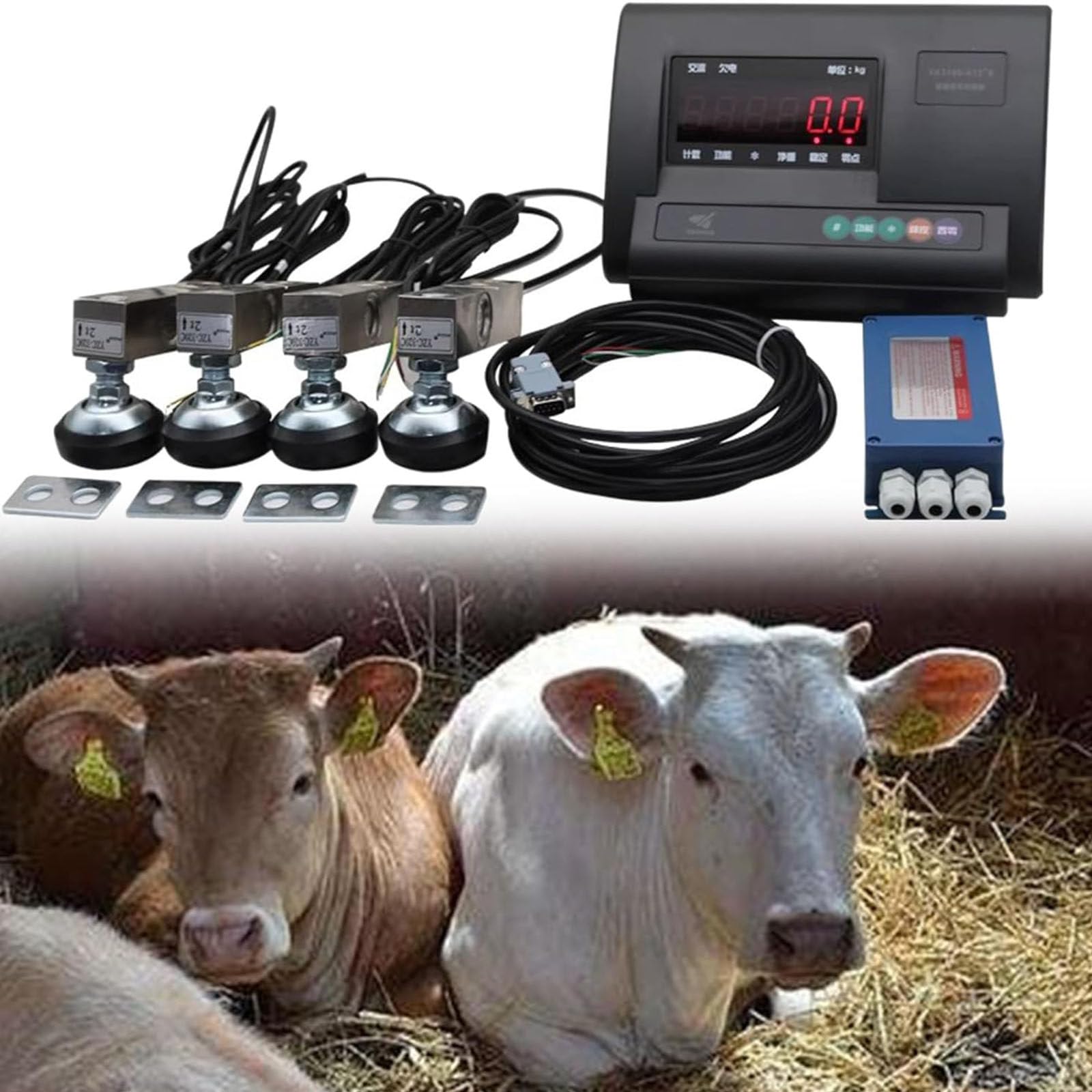 Kit Balance électronique Pour Bétail, Kit Balance Au Sol Haute Précision Pour Bovins, Moutons, Porcs, Chèvres, Chevaux, Indicateur Pondération Avec écran Lcd Rétroéclairé,5000KG