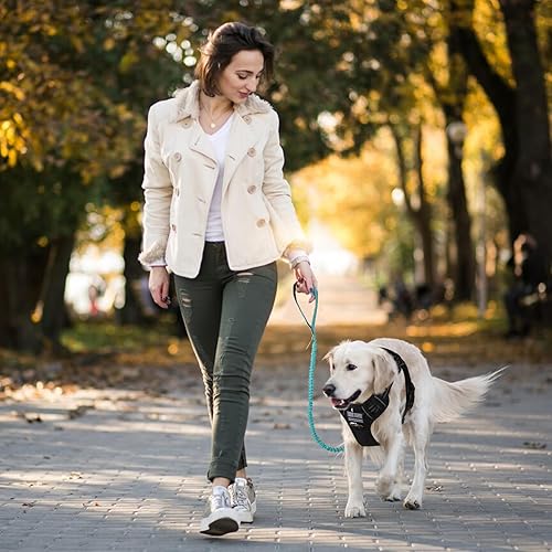 Miniatura 64 de BUMBIN Correa elástica para perro de 6 pies, correa elástica para perro con 2 asas, correas resistentes para perros medianos y pequeños, sin